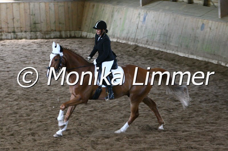 006M4406_Dressur E.JPG